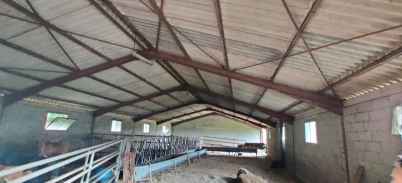 Désamiantage gratuit grâce au photovoltaïque